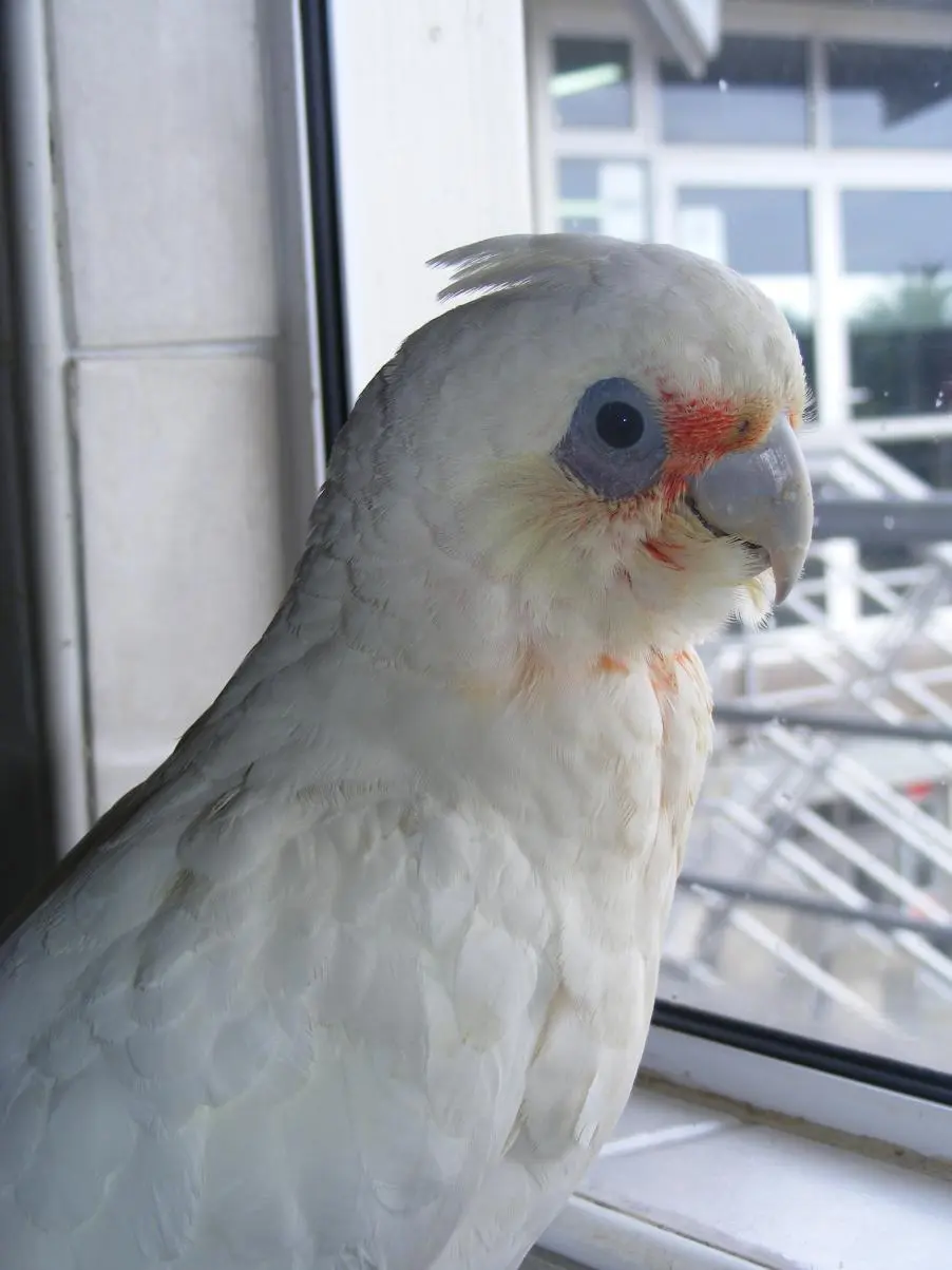 DSCF6012.webp