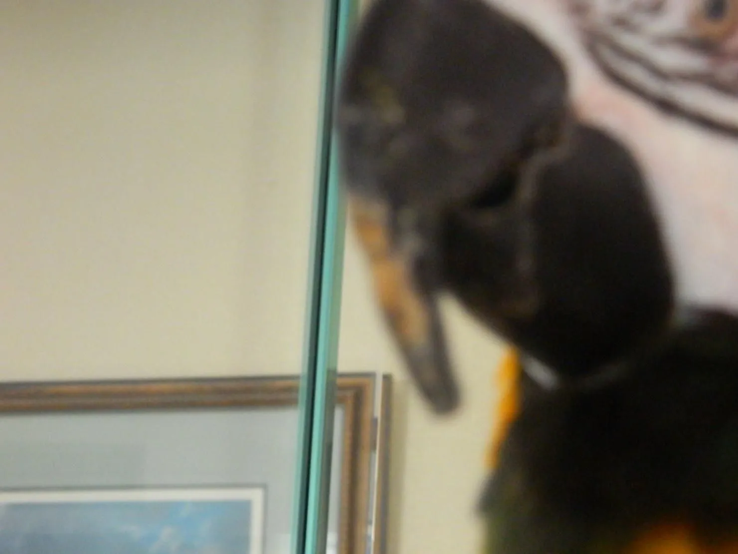 DSCN0591.webp