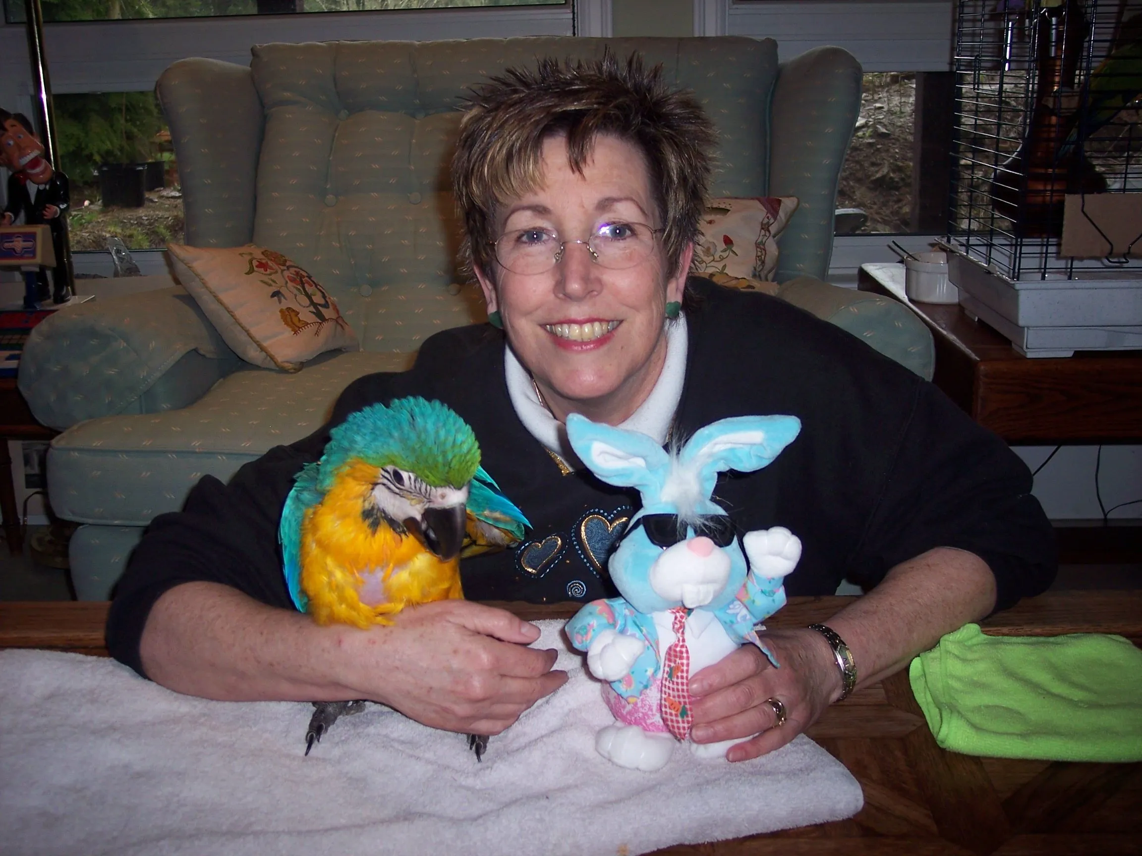 Elena And Tiko - B&amp;g Macaw 3 Mo. Old