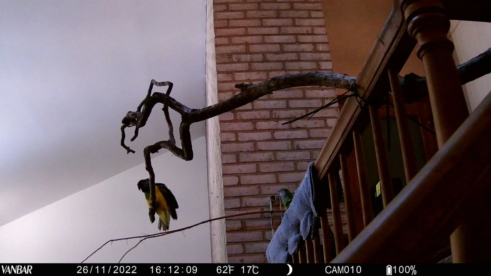 Fletcher and Georgia (2)