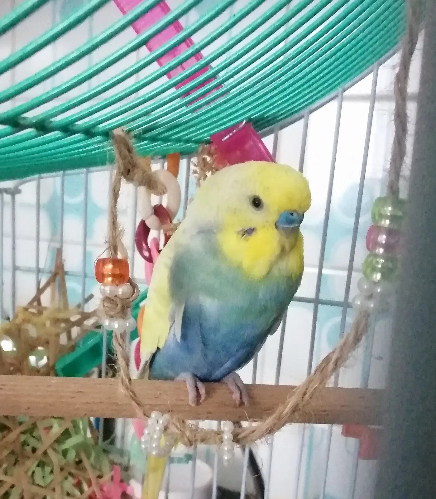 fotor_1648238974179.webp