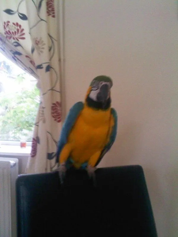 Fred Took Loads Pics To Get This Good Shot As He Doint Like Getting Hes Pic Taken