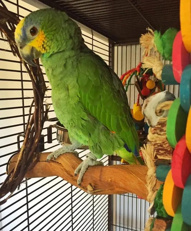 FullSizeRender 7.webp