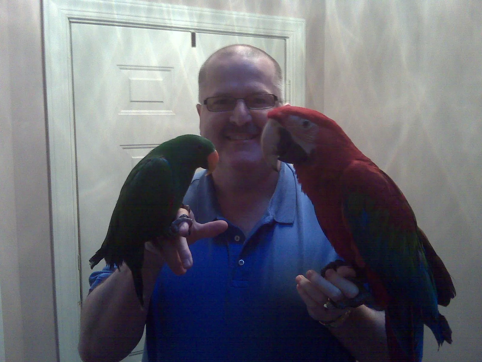 Gw Neleno, Eclectus Guapo