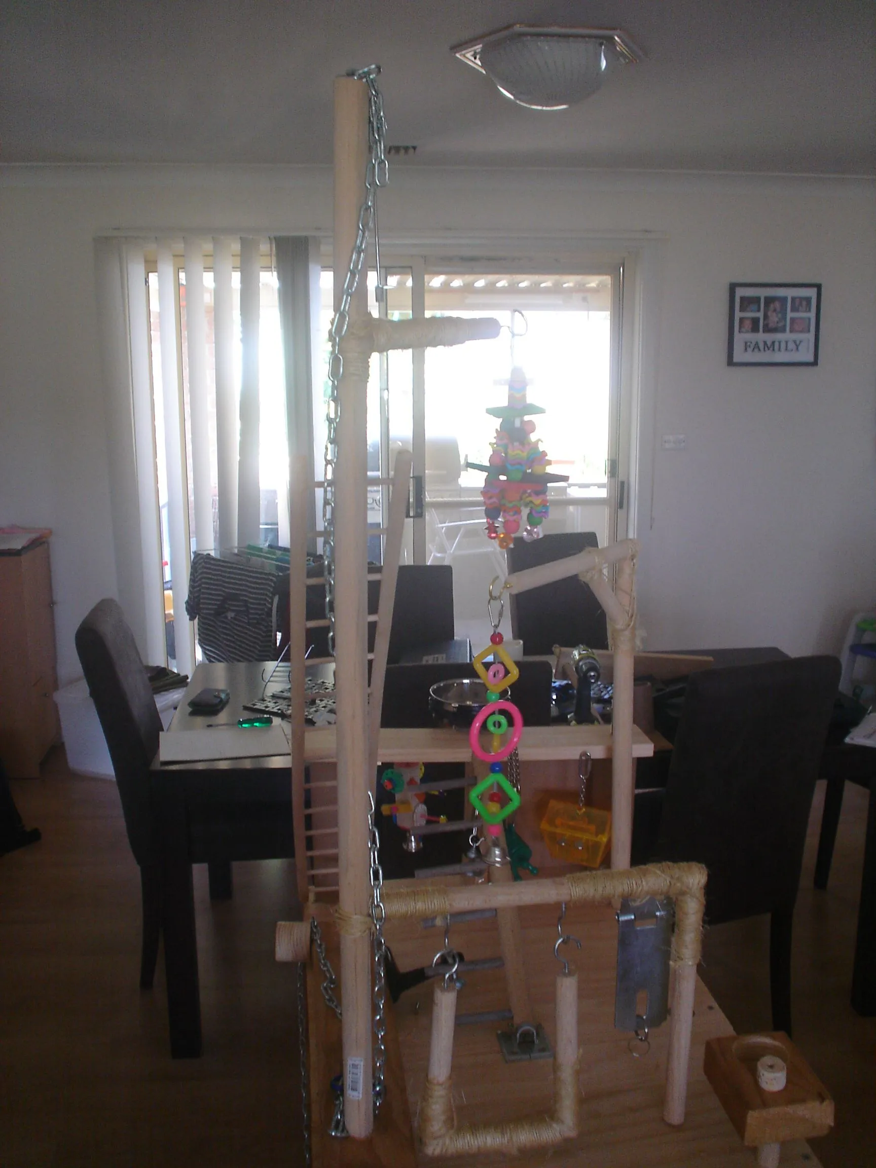 Home Made Bird Playground