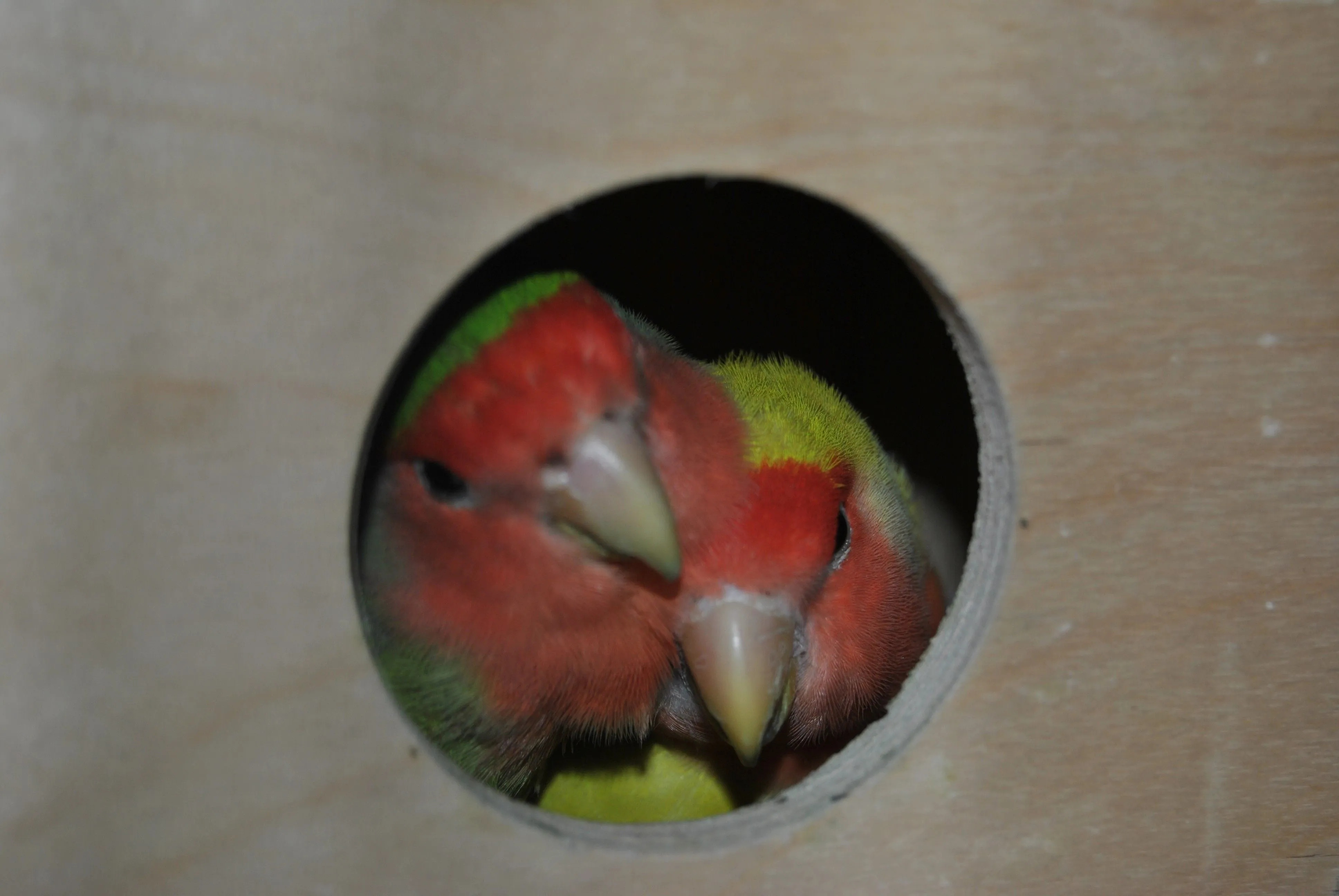 I Miss You So Much :(