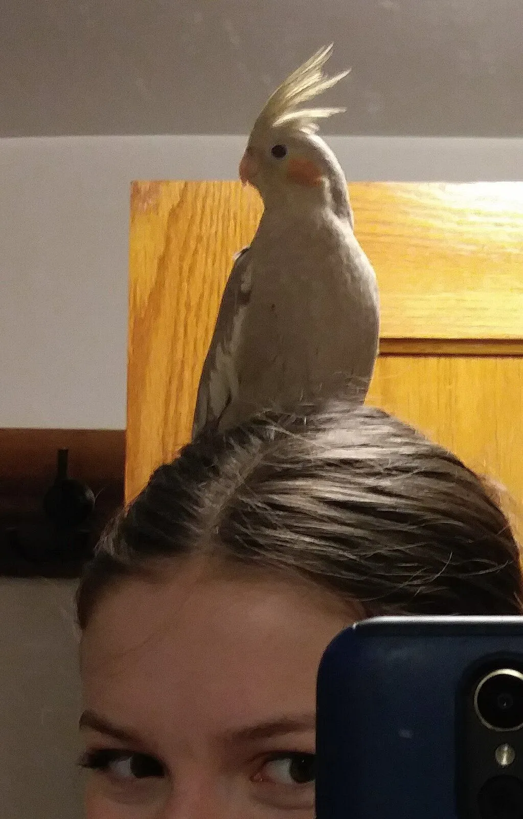 I think Poppy's getting more comfortable with me