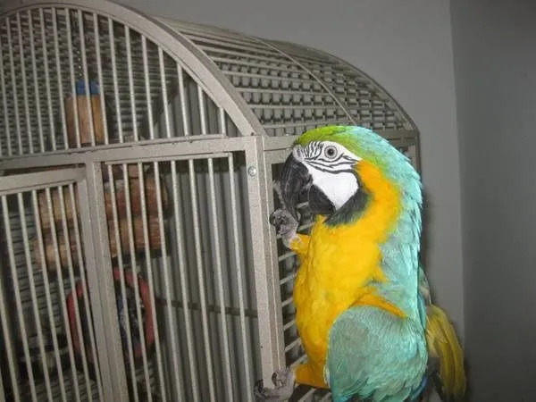 image.webp