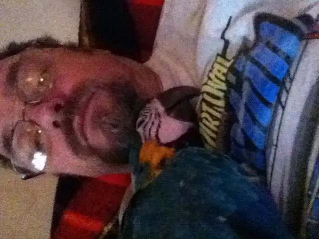 image.webp