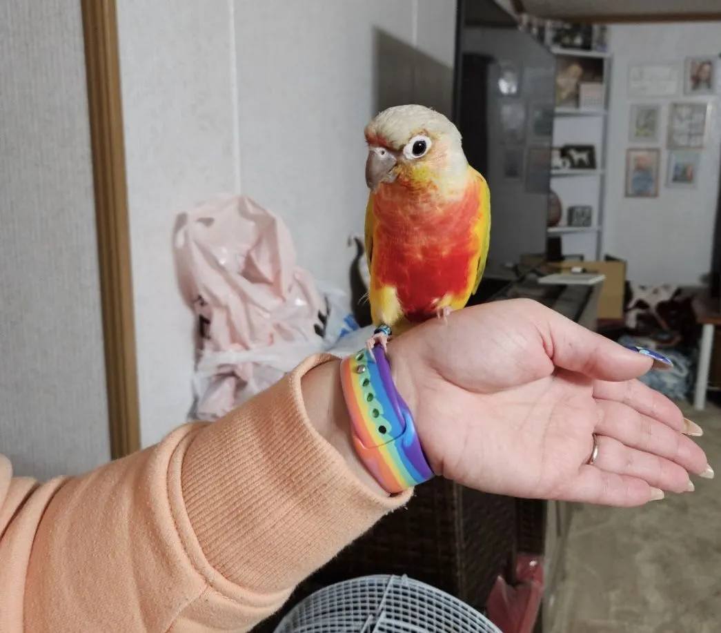 image000000.webp