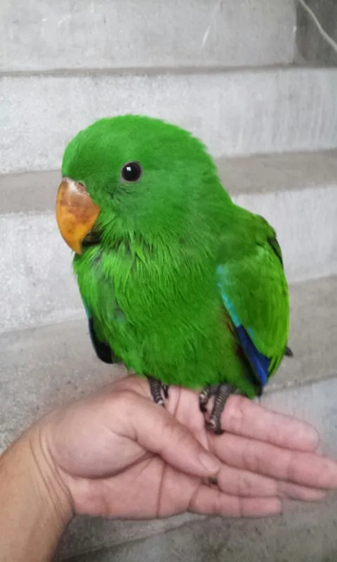 IMG-20150325-WA0009.webp