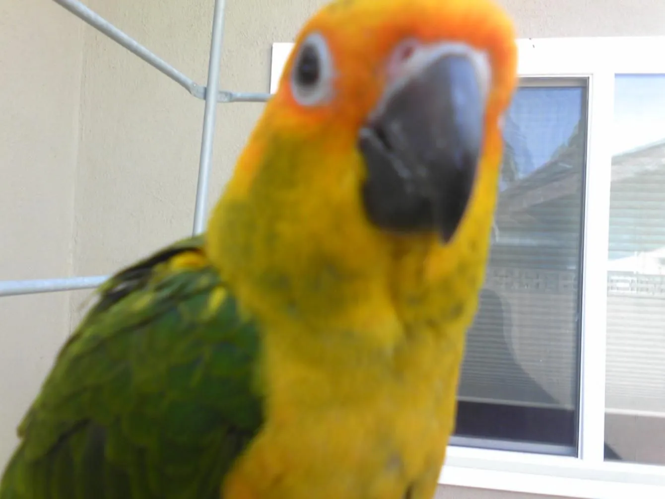 IMG00031.webp