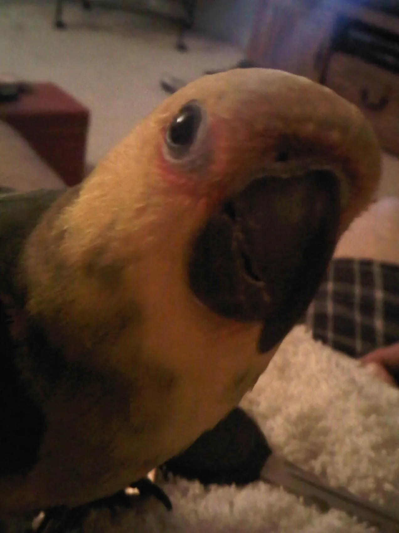 Img00092 20100203 2000