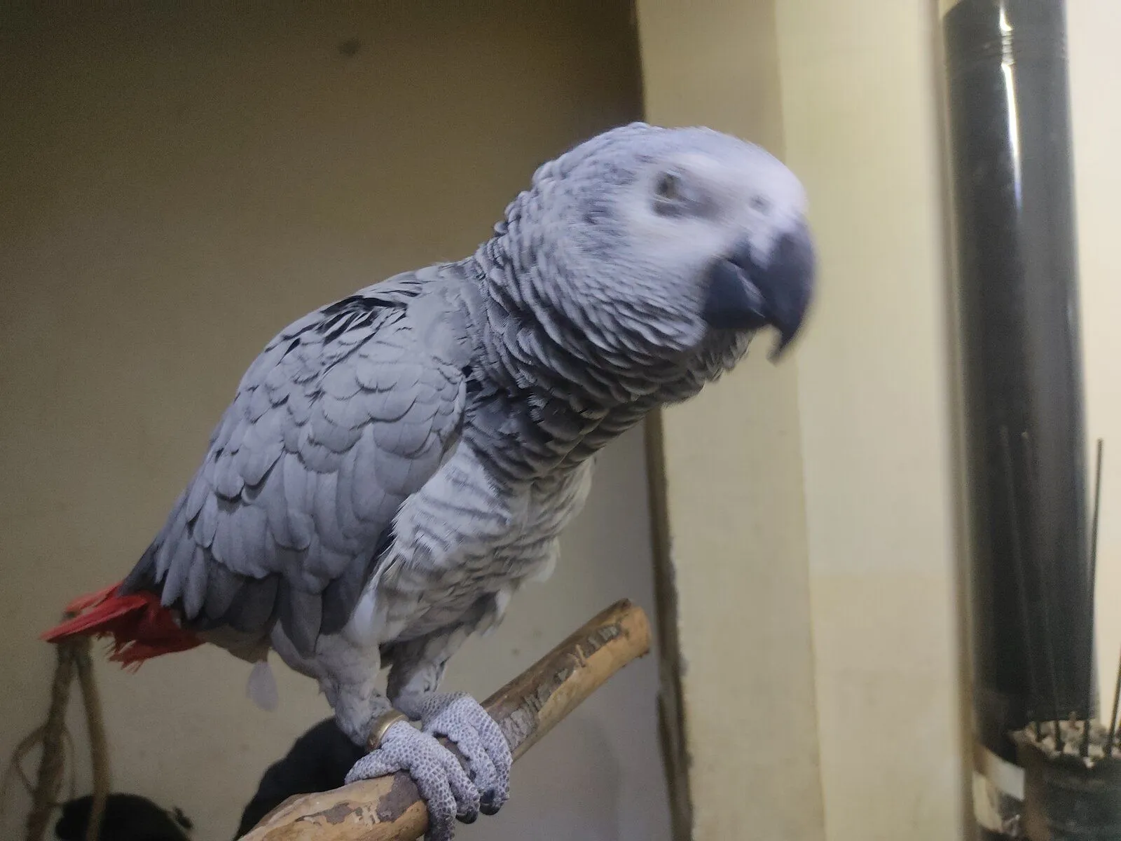 IMG_20230207_175429.webp