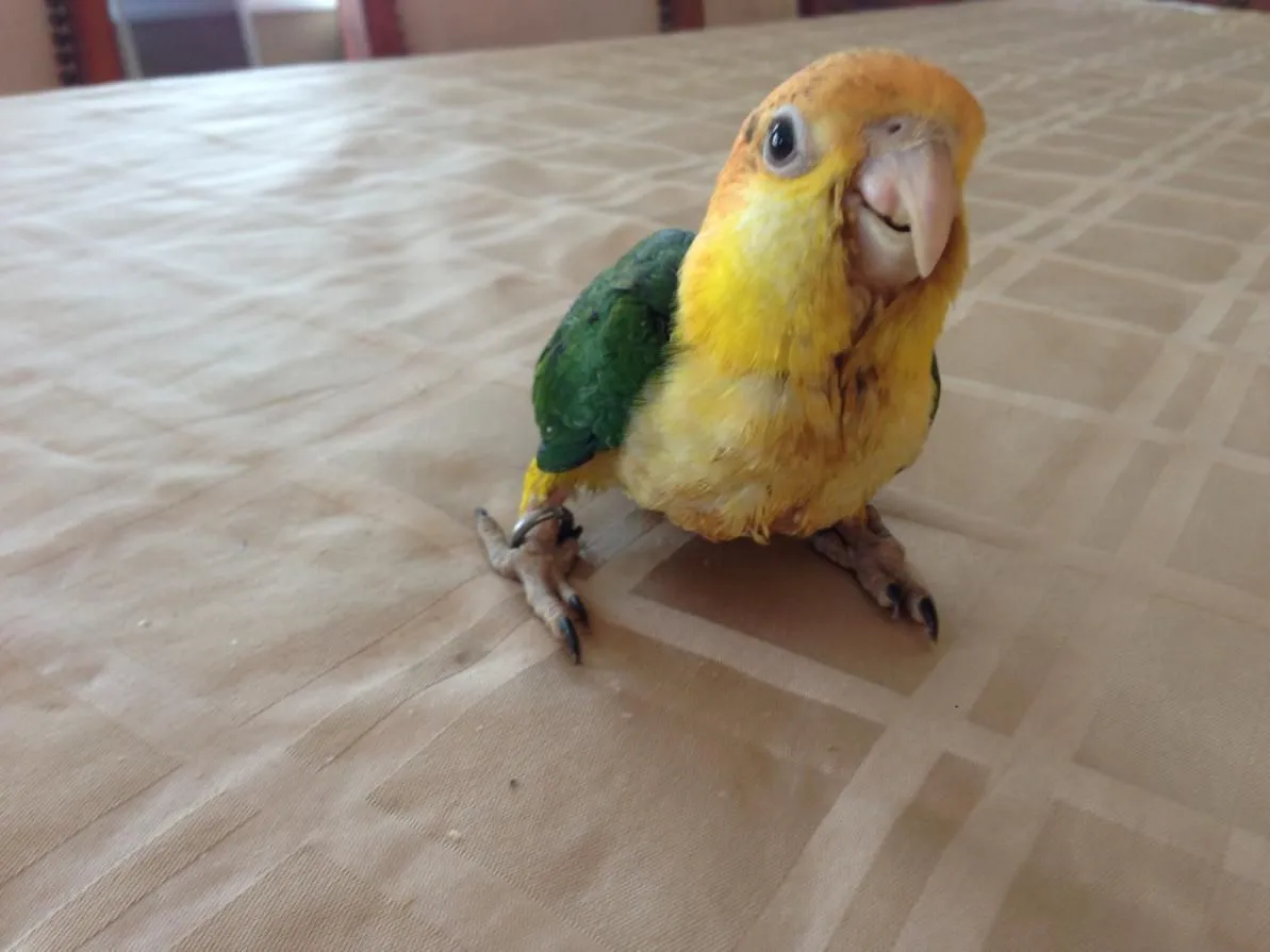imrtagejpeg_2.webp