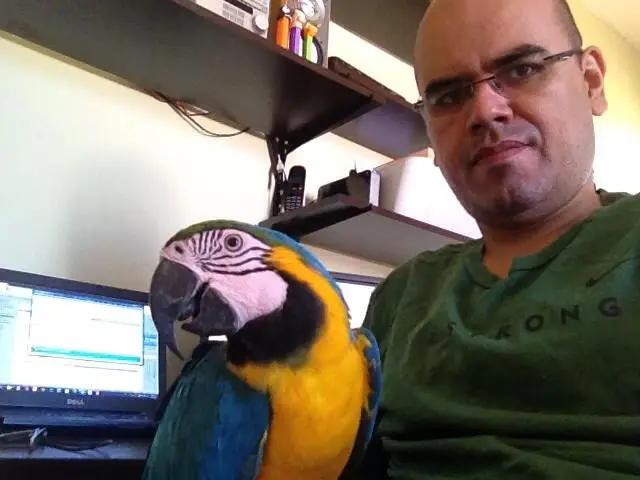 Intern In My Home-office