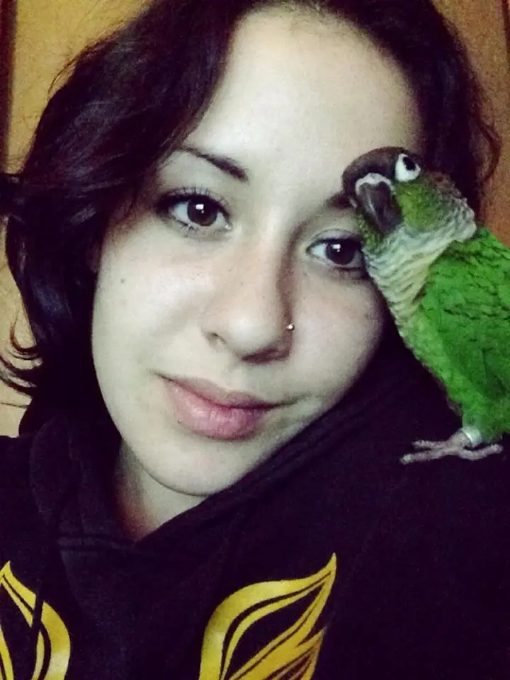 Jazz The 8 Year Old Green Cheek