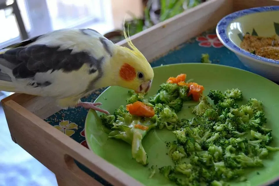 Leo's Sunday Lunch...