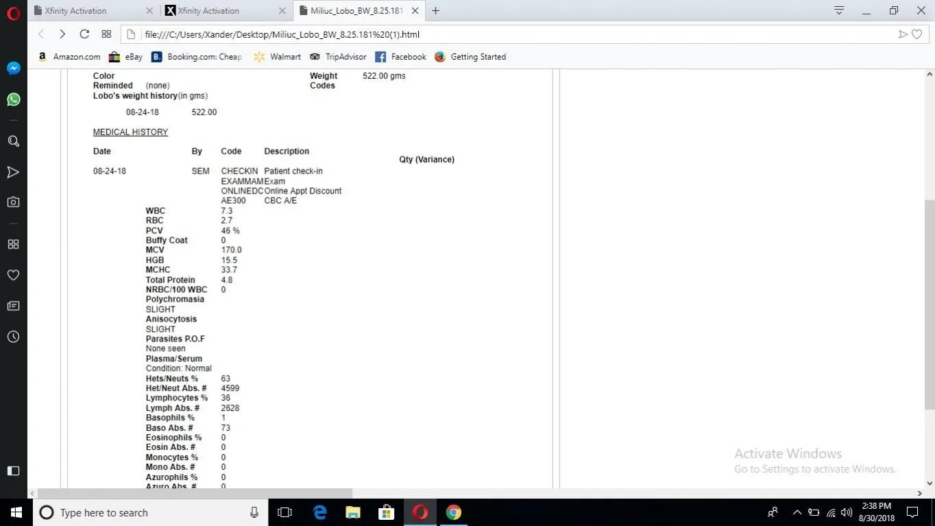 lobo.webp
