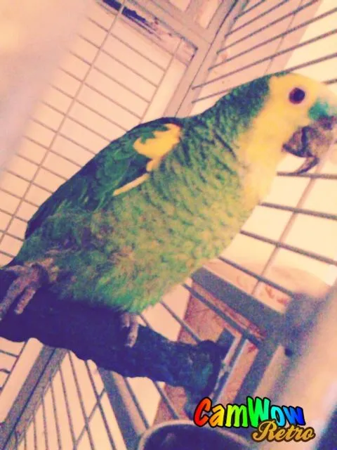 Max !