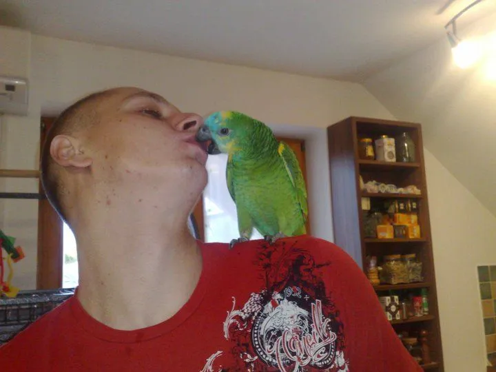 Me&amp;my Blue Fronted Amazon Lilly Kissing :)