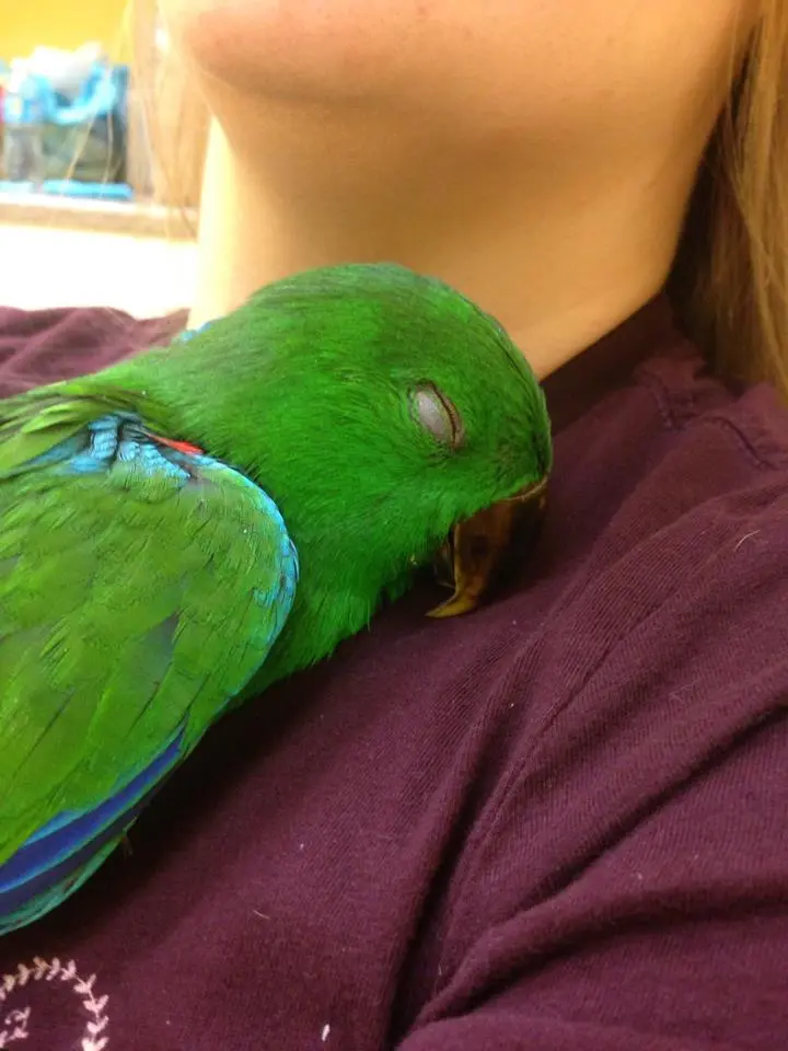 Me And Eko Sleeping On My Shoulder <3