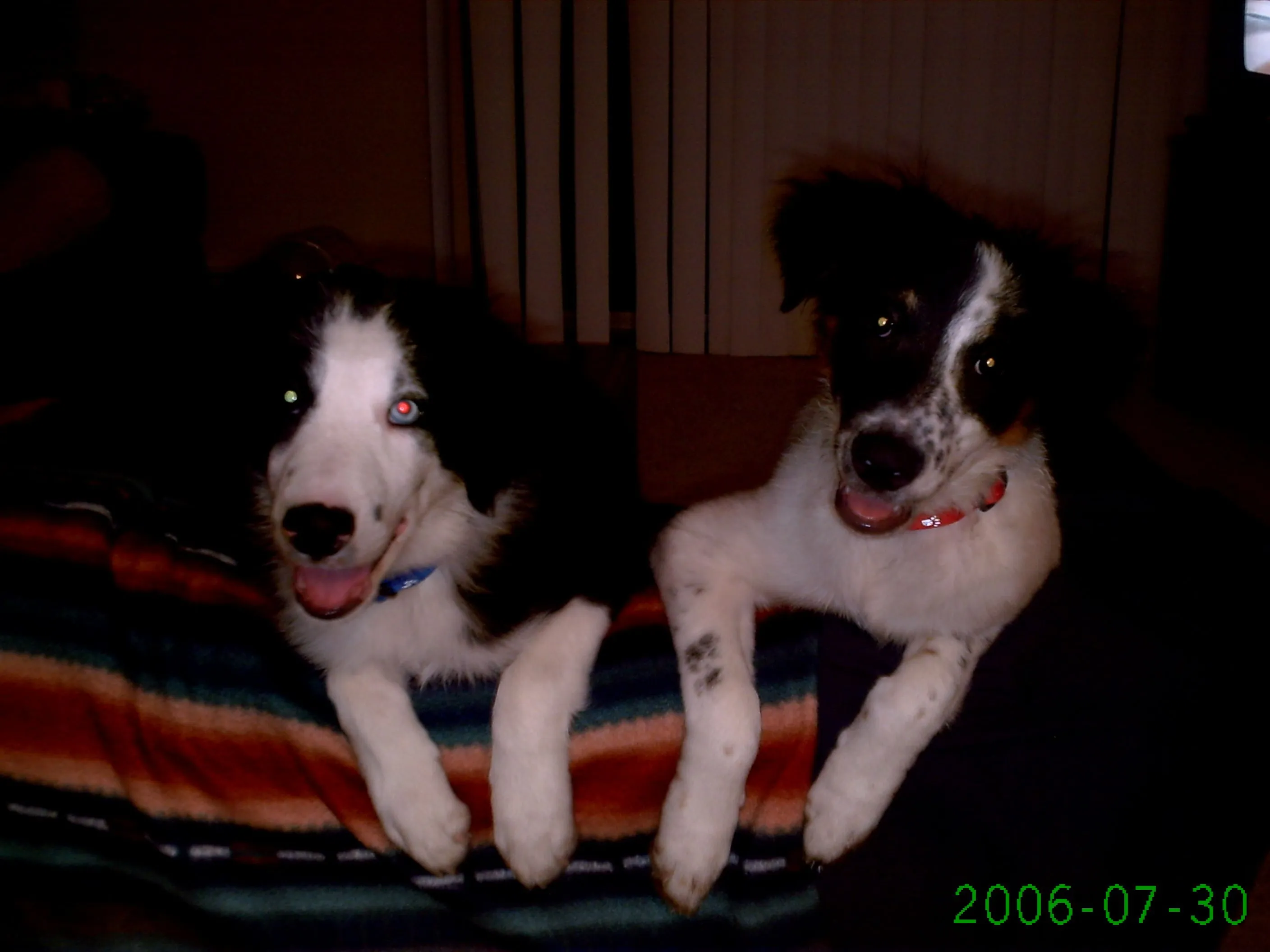 my boys