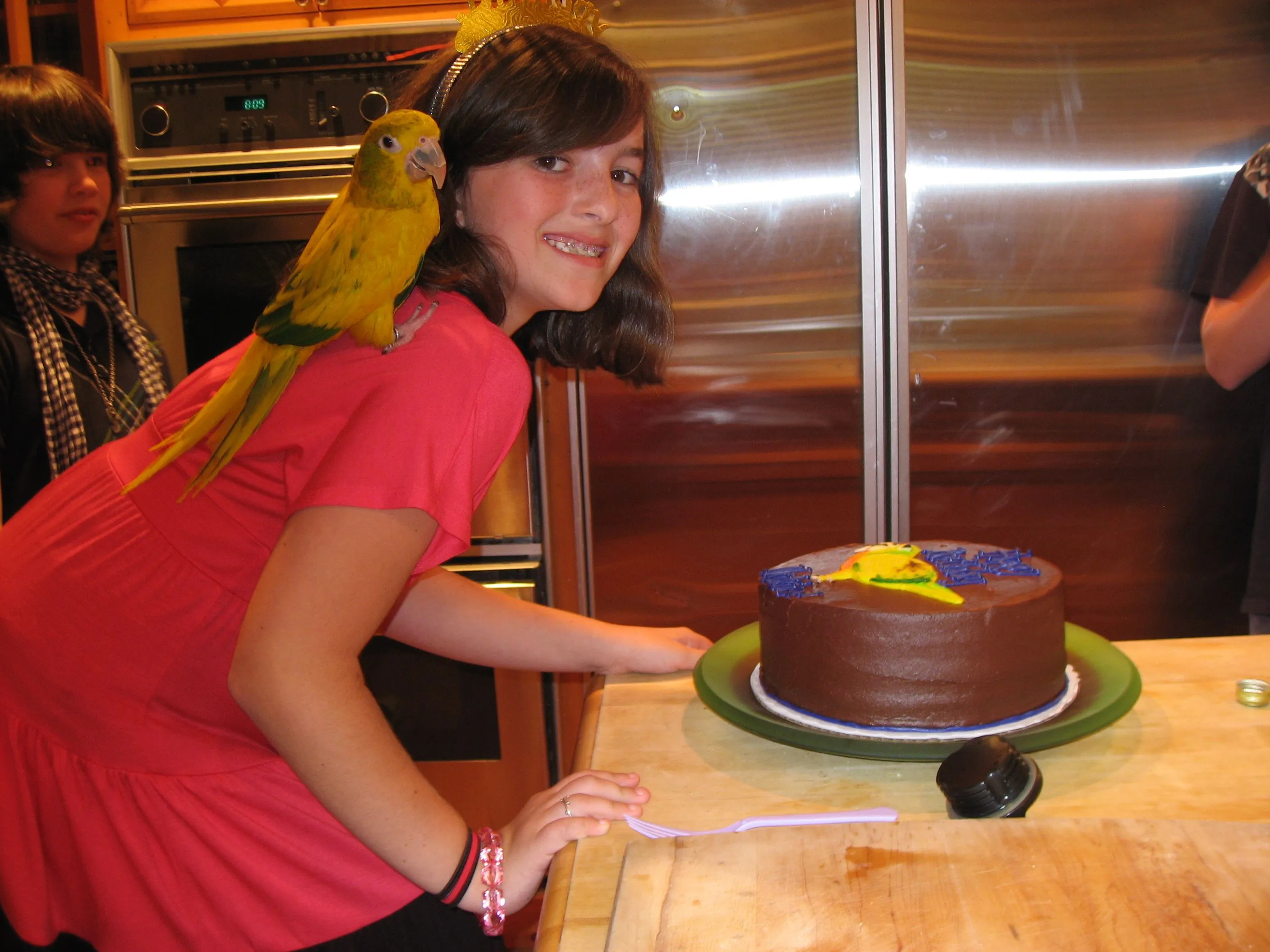 My Golden Conure