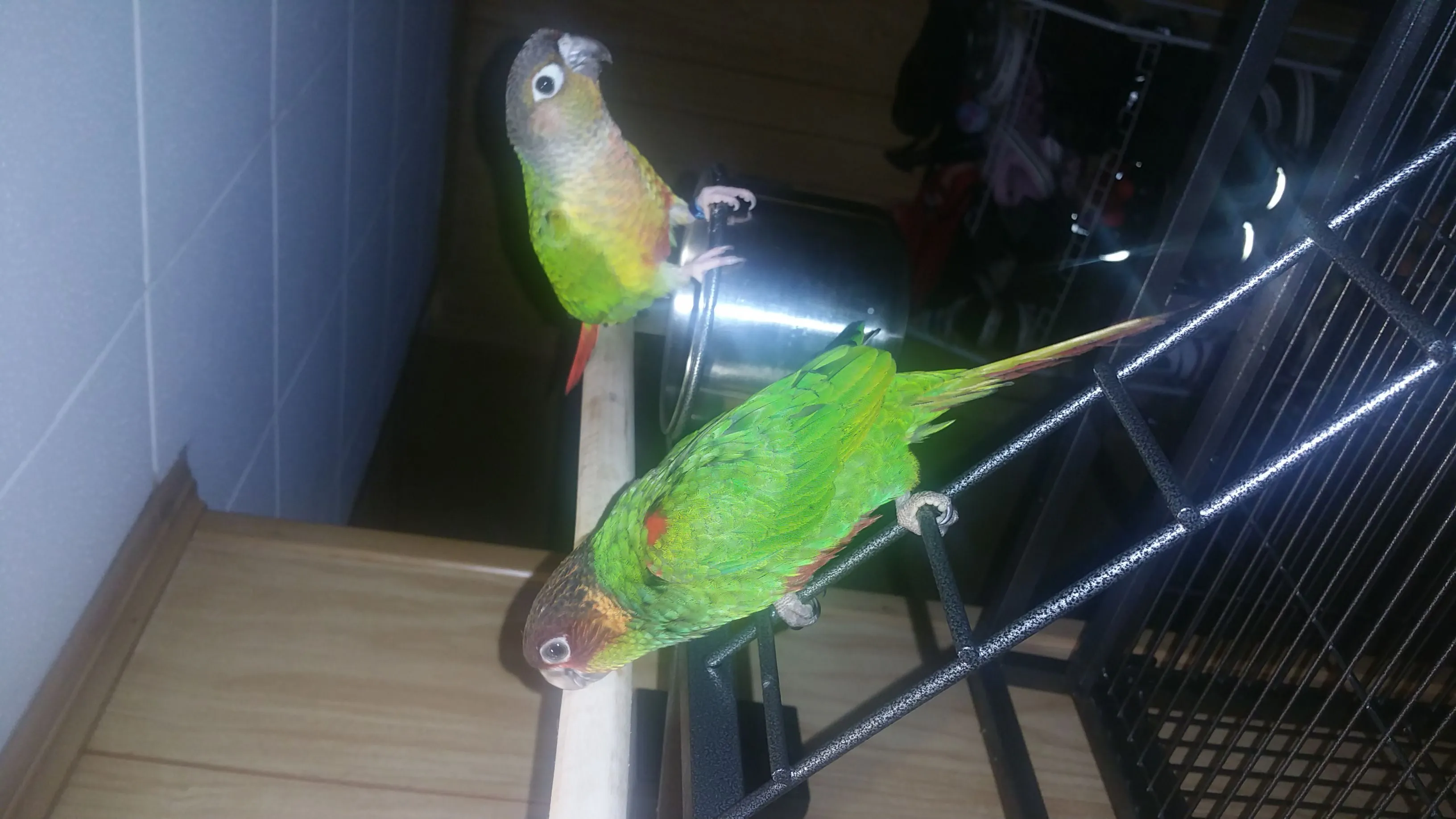 My Guys