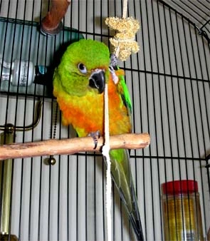 My Millet--mine, Mine!