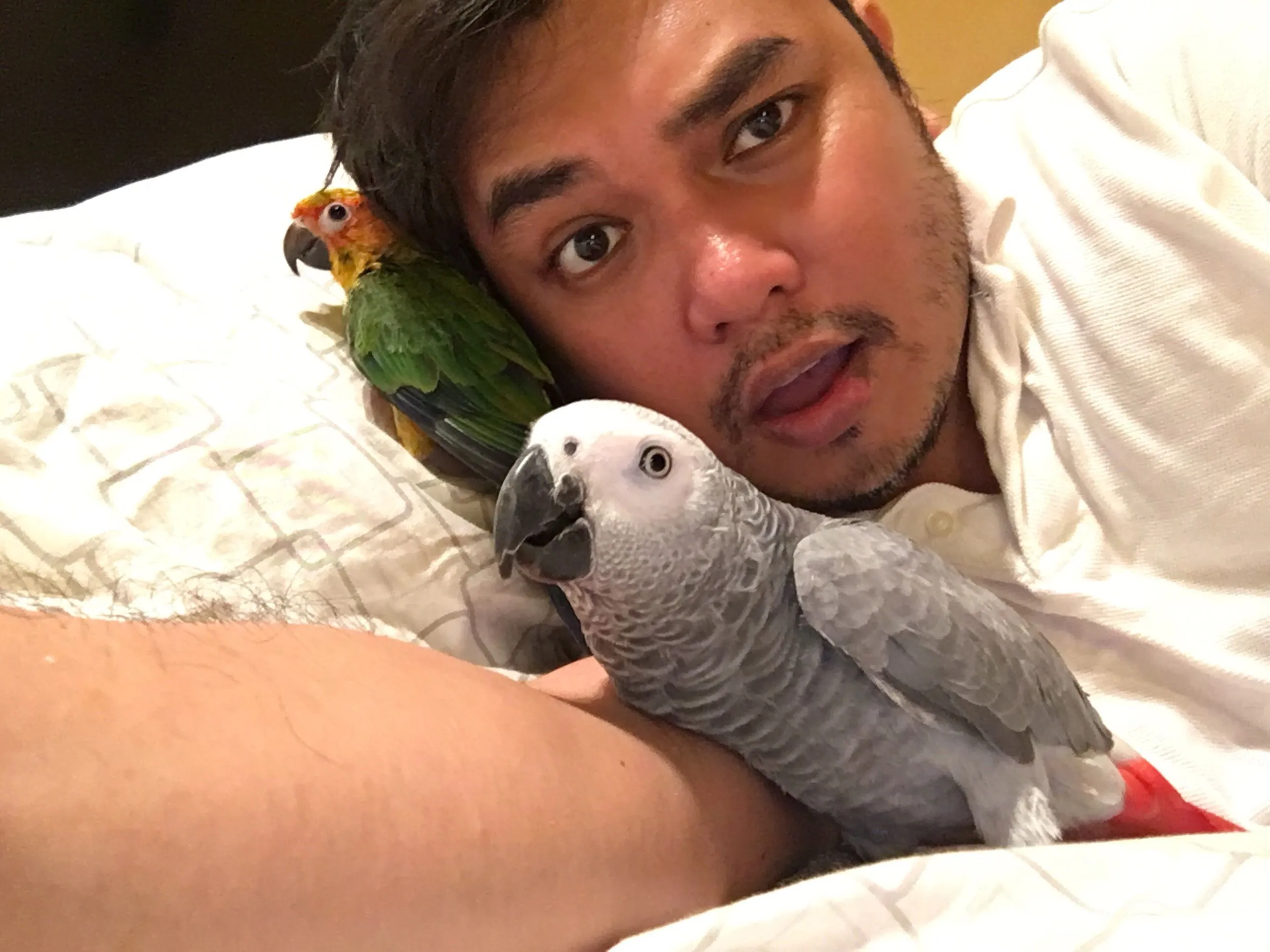 Nap Time With Maverick And Zoe