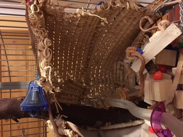 Olivers safe place.webp