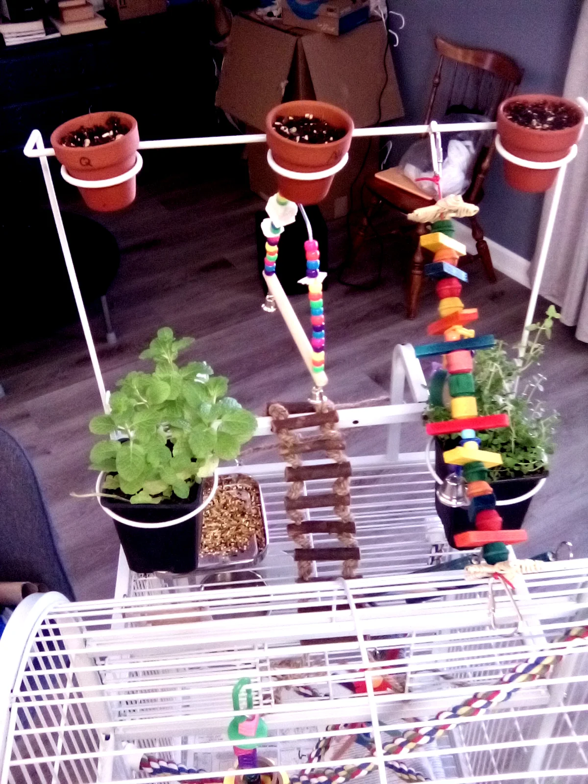 Ollie's mind and body wellness center.webp