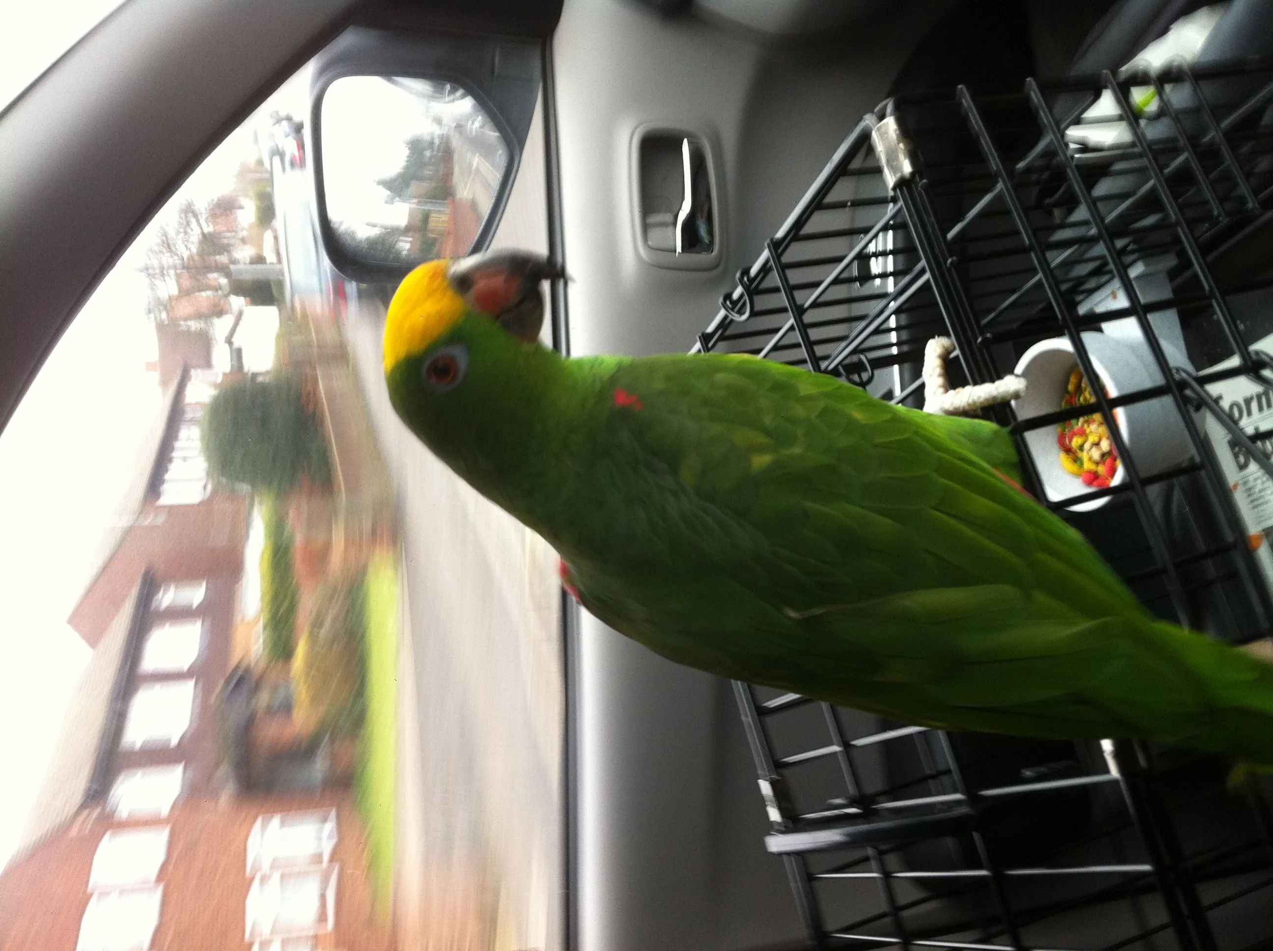 On Our Way To Work