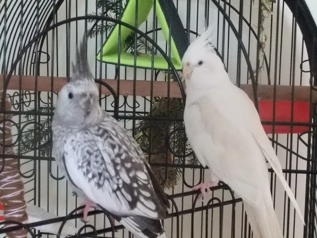 Our Family Members