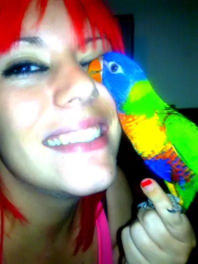 Ozzy My Lorikeet