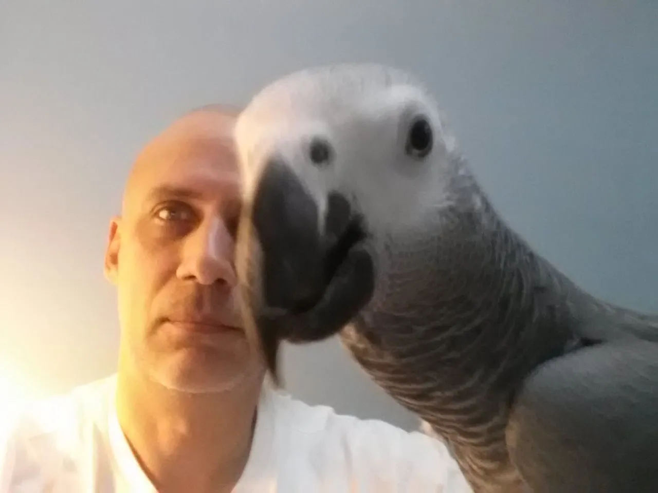 Parrot Selfie