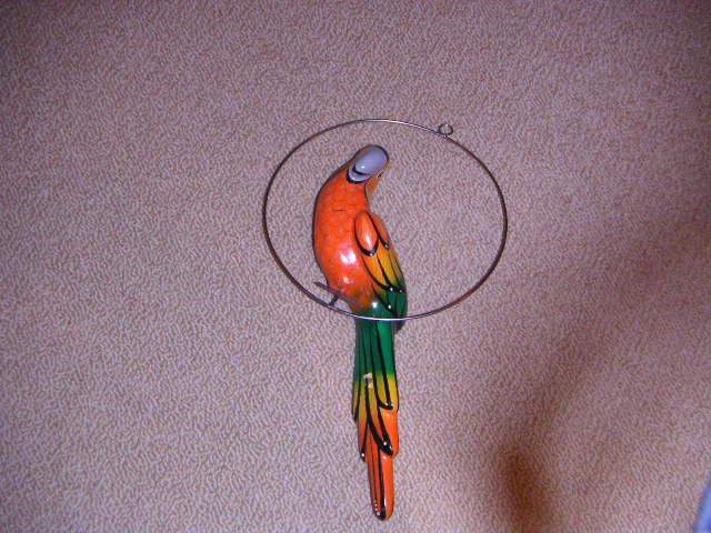 parrot001
