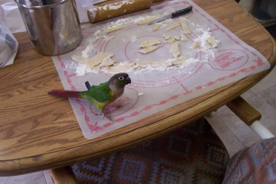 pear pie 001.webp