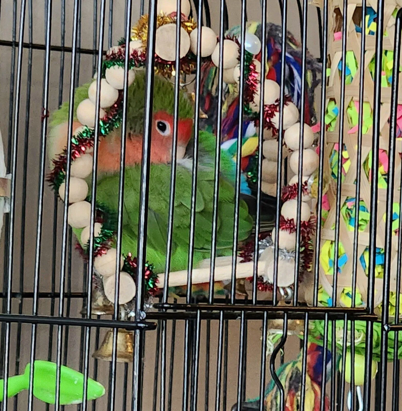 pebbles sleeping