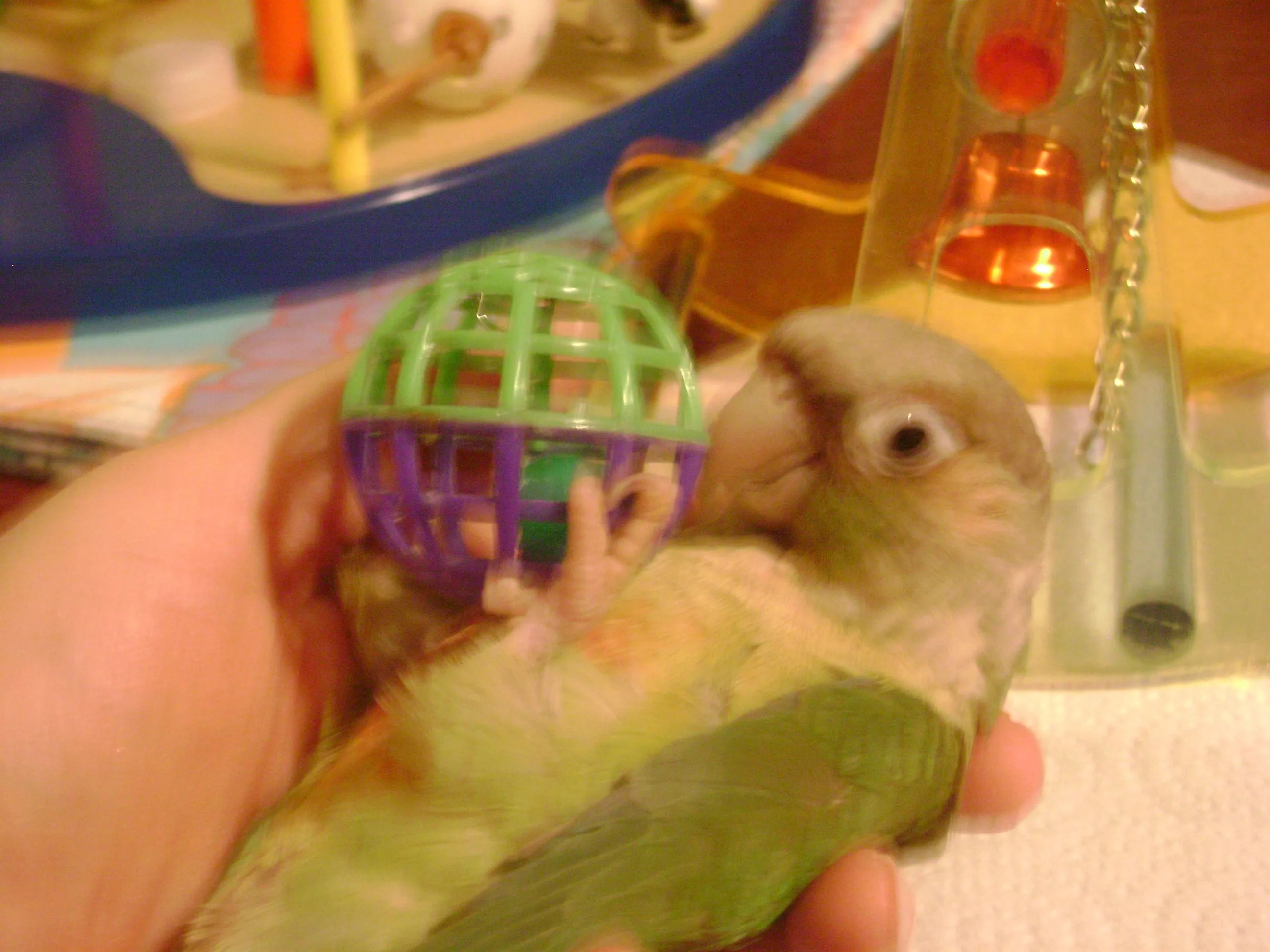 peete being his cute self ;)