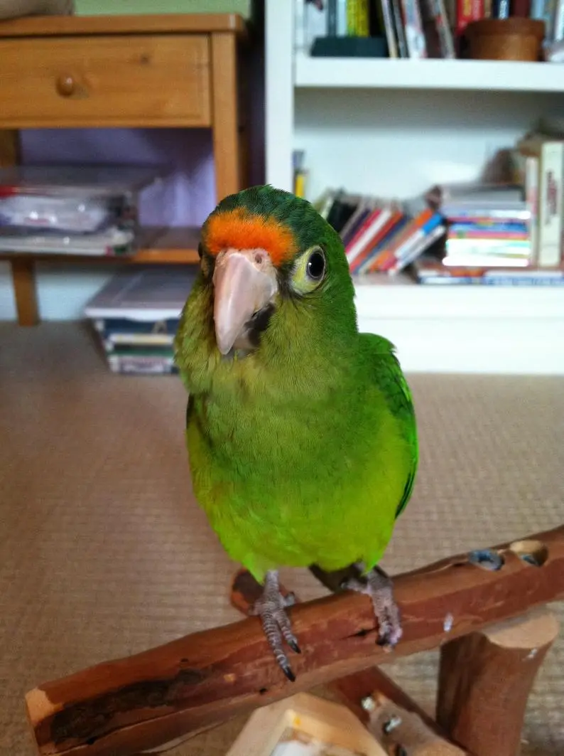 photo-36.webp