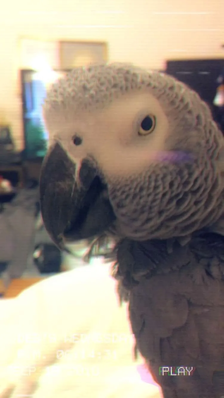 Photos Of Louie And Me And My Dad And Louie