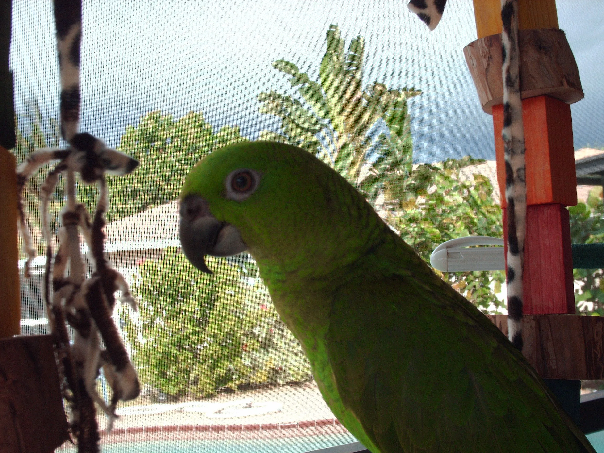 Picture037