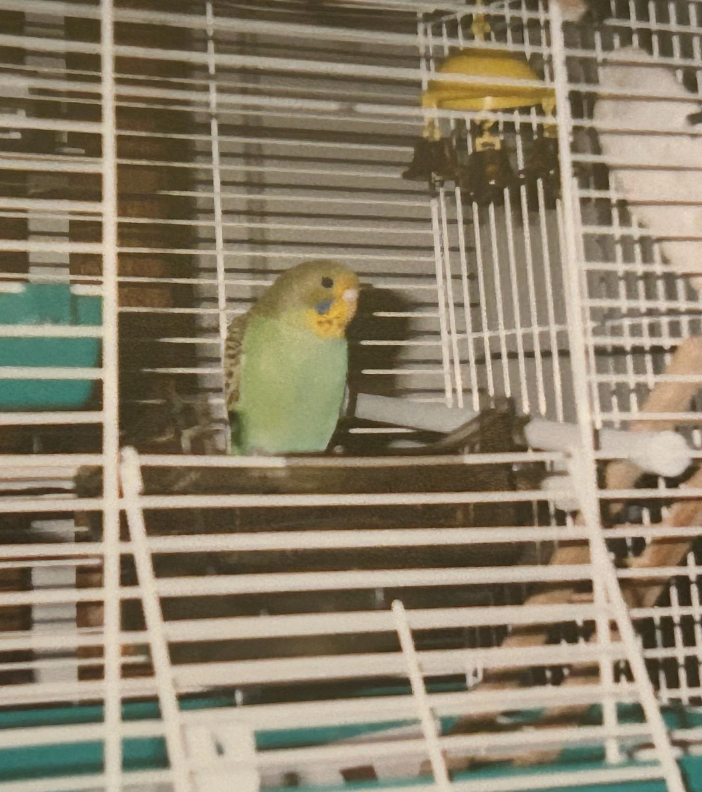 Proto circa 2000.webp
