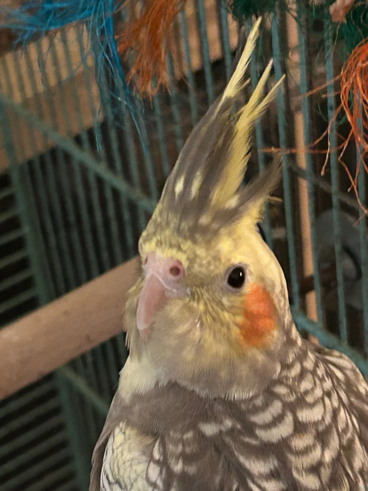 Quark being cute-alarmed_Oct 10-2026.webp