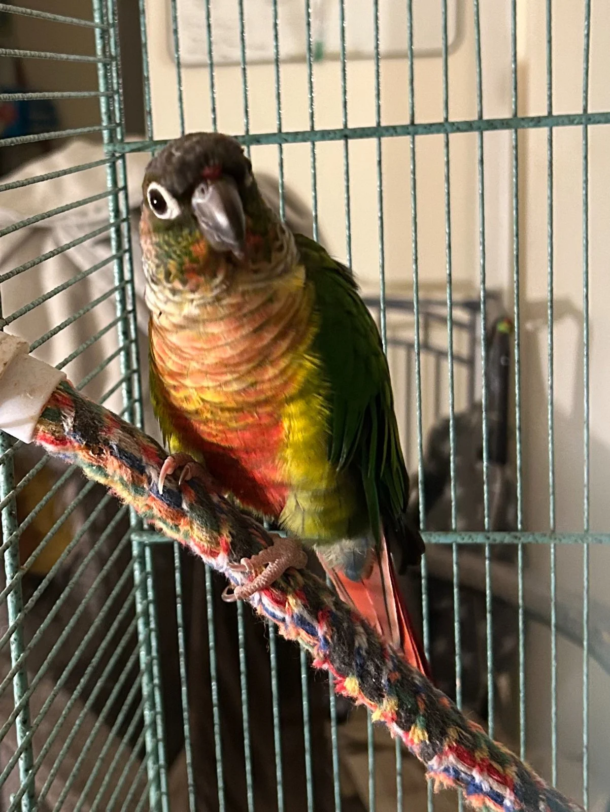 QUasar first day home_more new pix_sept 28_2025.webp