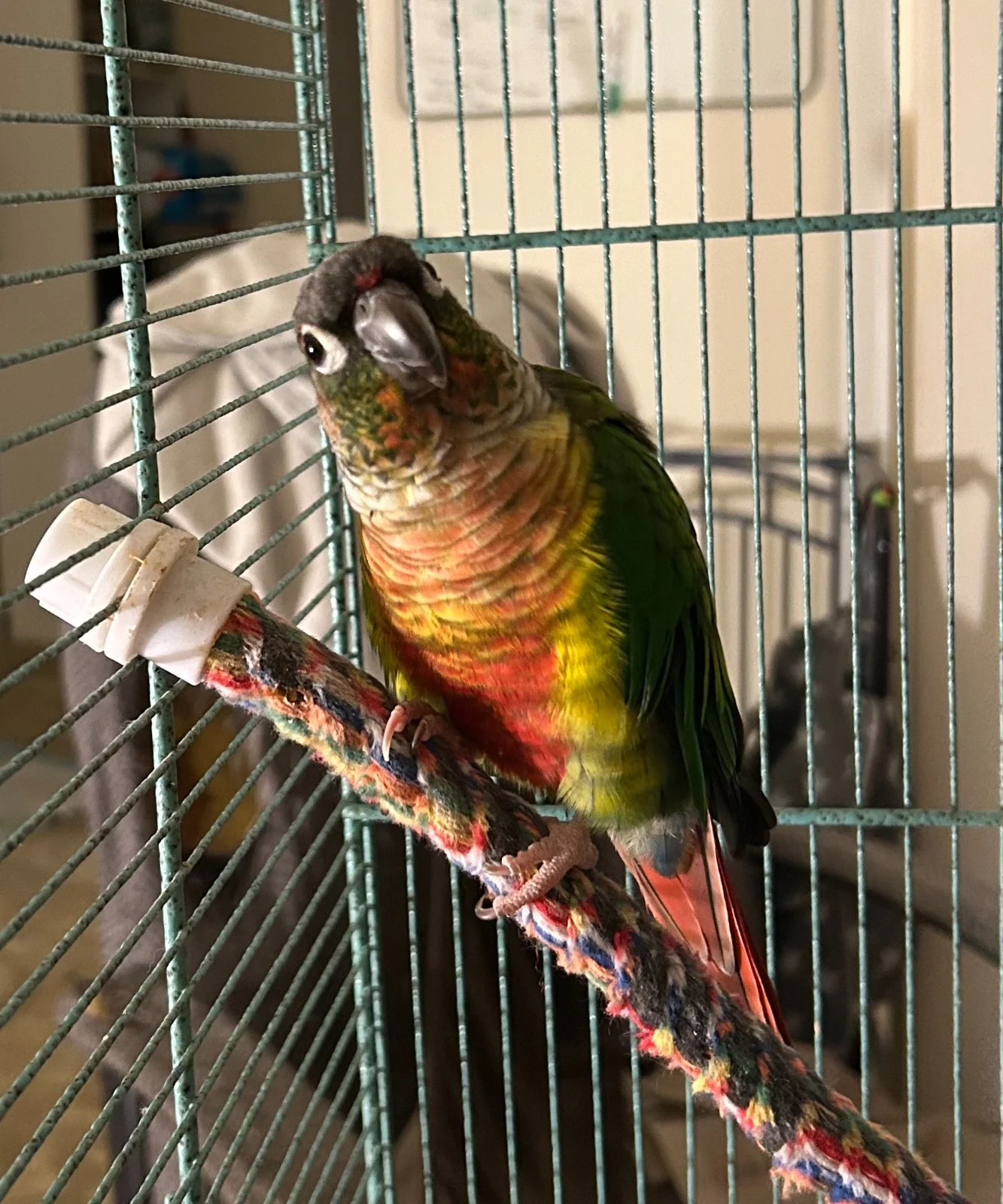 QUasar first day home_new pix_sept 28_2025.webp