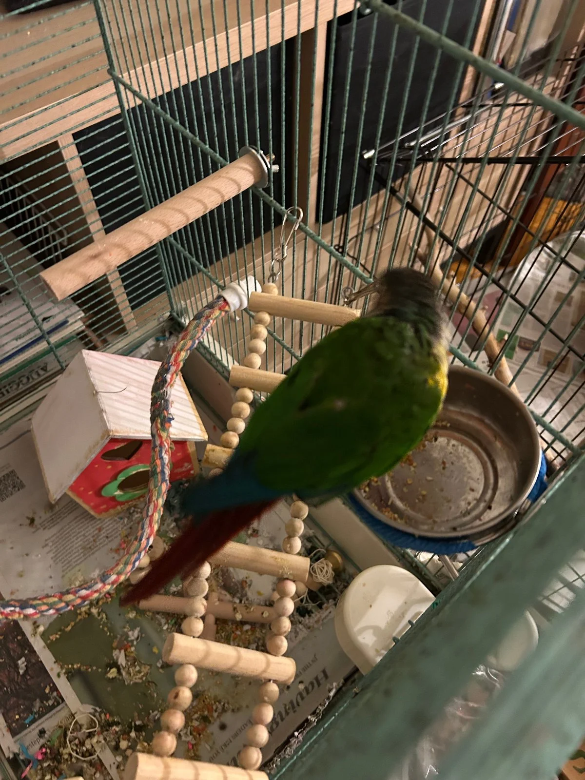 Quasar_Nov 8 2025_1.webp