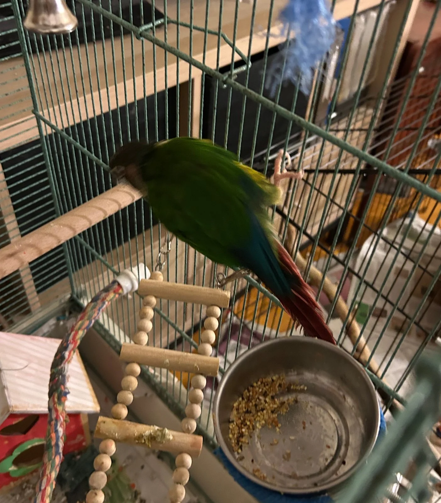 Quasar_Nov 8 2025_2.webp